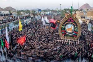 Salon.Photo Gold Medal